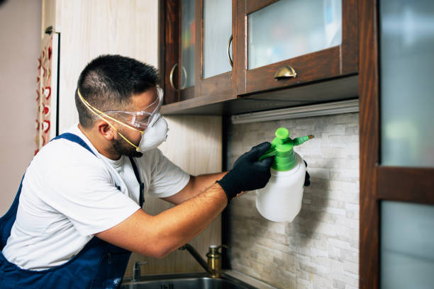 Best Pest Control for Homes  in Burr Ridge, IL