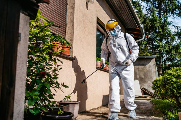 Best Ant Control Services  in Burr Ridge, IL